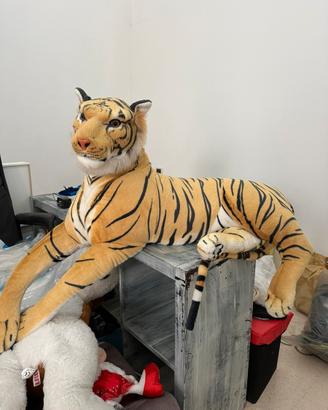 Tigre