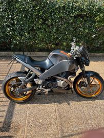 buell lightning xb12