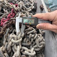 Catena X vericello