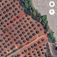 Terreno agricolo uliveto mq 4400circa