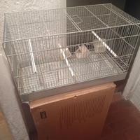 Gabbie per uccelli canarini