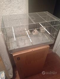 Gabbie per uccelli canarini