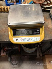 Bilancia elettronica professionale