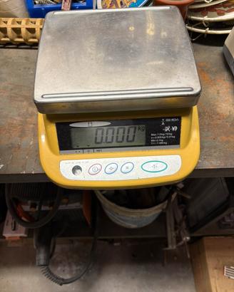 Bilancia elettronica professionale