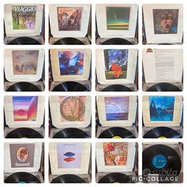 Vinili in Buono stato e senza cover