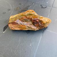 Legno fossile