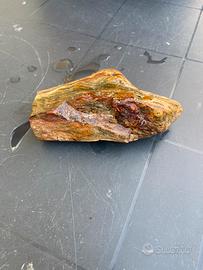 Legno fossile