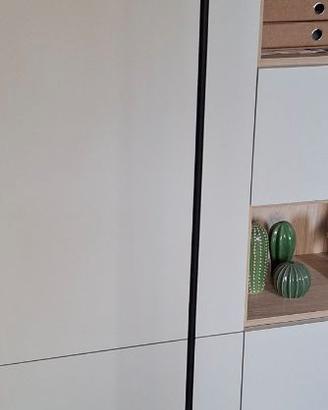 STELO / PIANTANA NERA