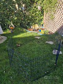 Gabbia recinto per cani o altri animali 