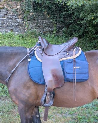 sottosella Burioni blu con tasche
