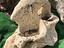 Immagine 26