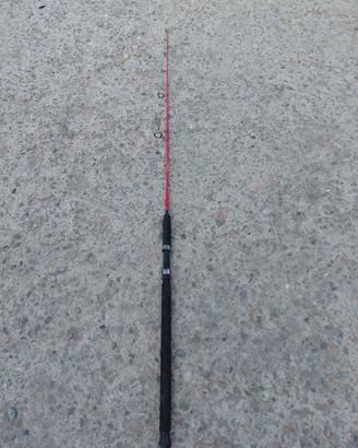 canna jigging Dentex