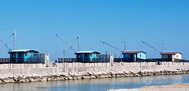 Lido di Fano-ULTIMA SETTIMANA:DAL 22 AL 29 AGOSTO