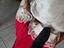 Immagine 4
