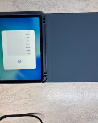 Apple ipad 10a 256 GB WI-FI+cover