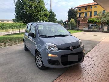 fiat panda gpl