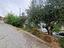 Immagine 22