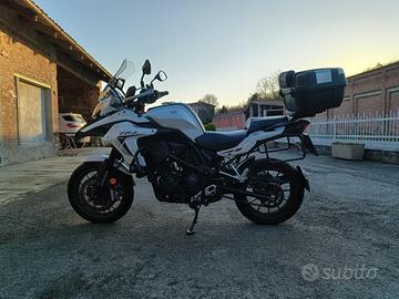 BENELLI TRK 502