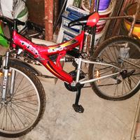 Bicicletta mountain bike 