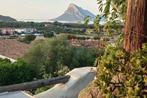 Casa vista Tavolara- Disponibile 1-15 Agosto