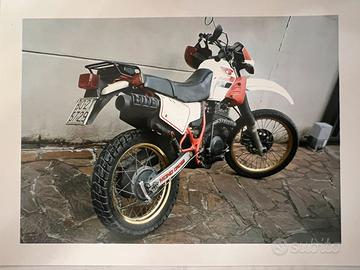 Yamaha XT 600
