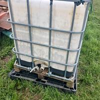 Cisterne Acqua 1000 lt x orto