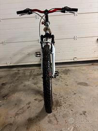 Mountain bike usata
