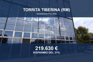 Immobile in asta di 35900 m² a Torrita Tiberina
