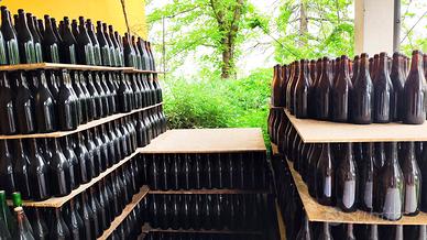 Oltre 6000 bottiglie di vino tipo bordognotta.