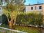 Immagine 13