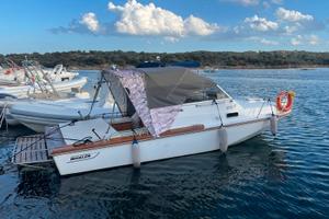 Boston Whaler 22 Revenge