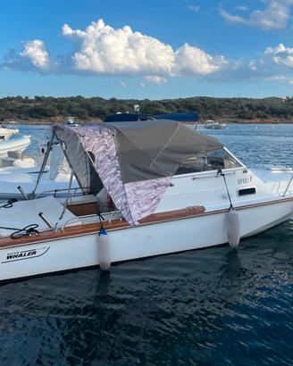 Boston Whaler 22 Revenge