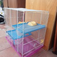 gabbietta per criceti 