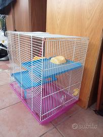 gabbietta per criceti 