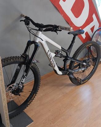 Canyon spectral  tg L