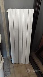 Termosifone in ghisa