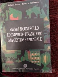 Elementi di controllo economico finanziario della