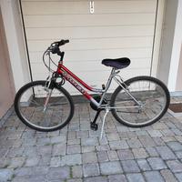 Biciclette Mountain bike Viper