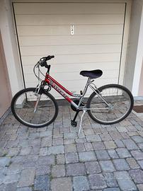 Biciclette Mountain bike Viper