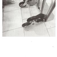 carrello trasporto a tre ruote