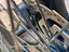 Immagine 5