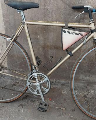Bicicletta gitan