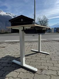 Scrivania Elettrica Regolabile in Altezza - 100x60