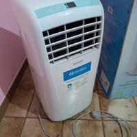 Climatizzatore pinguino