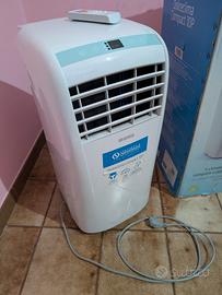 Climatizzatore pinguino