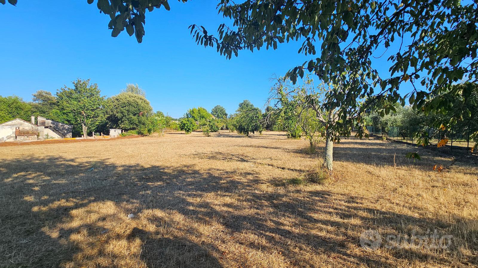 Terreno edificabile Sezze - Vista 4