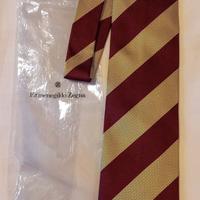 cravatta Ermenegildo Zegna