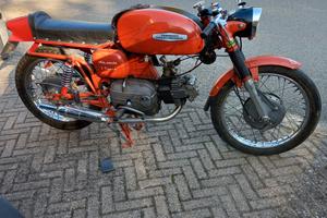 moto AERMACCHI ALA VERDE