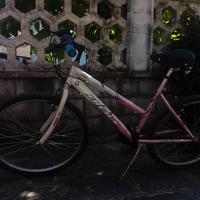 Mountain bike da donna 