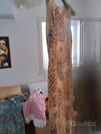 abito